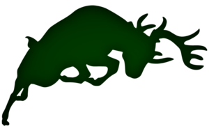 Seeking Nominations for the Pine River Class of 2021 Hall of Fame